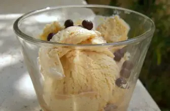 Vanilnoe morozhenoe baileys